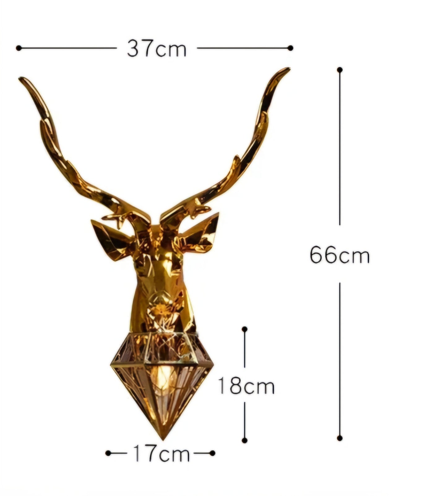 Markhor Scripted Wall Lamp
